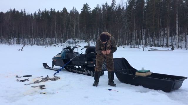 Ловля форели! смотреть онлайн