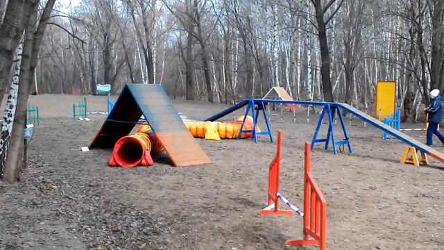 БЛНШ 28.03.15 аджилити мини и той