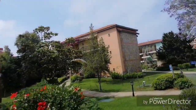 Gypsophila village смотреть онлайн