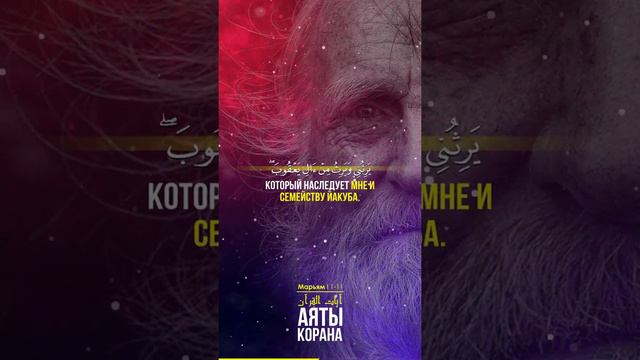 "Воздавайте хвалу по утрам и перед закатом!" Сура Марьям - Омар Хишам смотреть онлайн