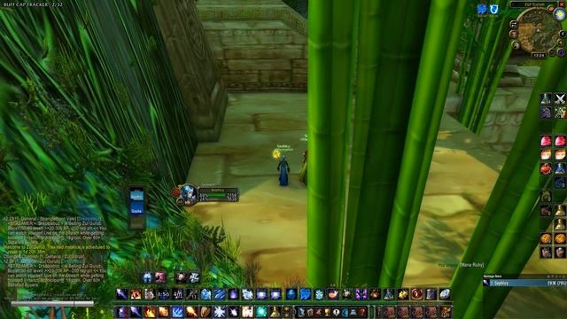 Classic wow RP walk bug ruining ZG farming on Female Undead Mage смотреть онлайн