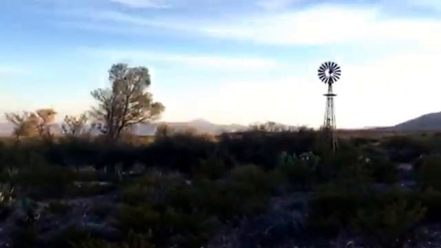 There ain't none of those tall cactus' with arms in this desert смотреть онлайн