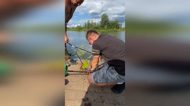 РЫБАЛКА на ПЛАТНИКЕ | ЛИНЬ на ПОПЛАВОК | КАРП на ФИДЕР | РЫБАЛКА в Подмосковье | Катя на рыбалке | смотреть онлайн