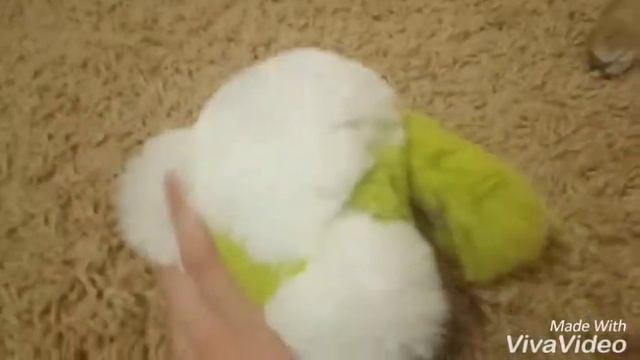 Что нужно для приобретения кота(кошки) смотреть онлайн