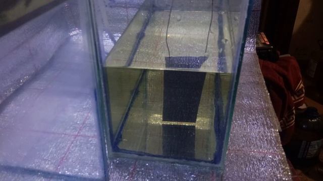 Супер рецепт ИКРЫ СКАЛЯРИЙ смотреть онлайн