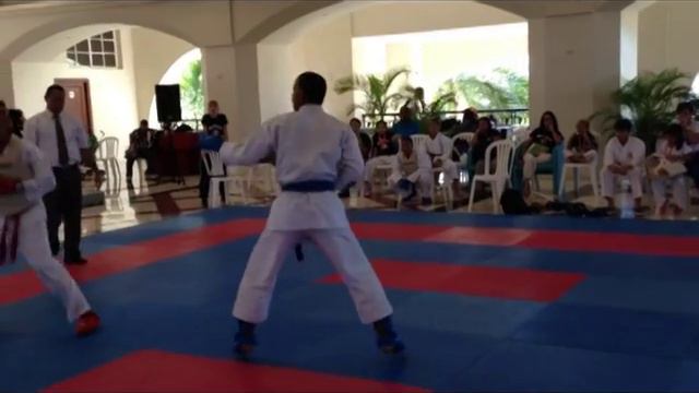 Dimitrova Dojo en el Torneo Karate Santiago 2013 смотреть онлайн