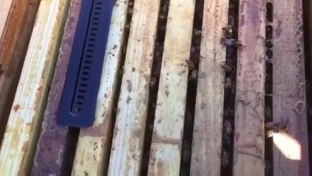 Осенний, Зимний период без утепления смотреть онлайн