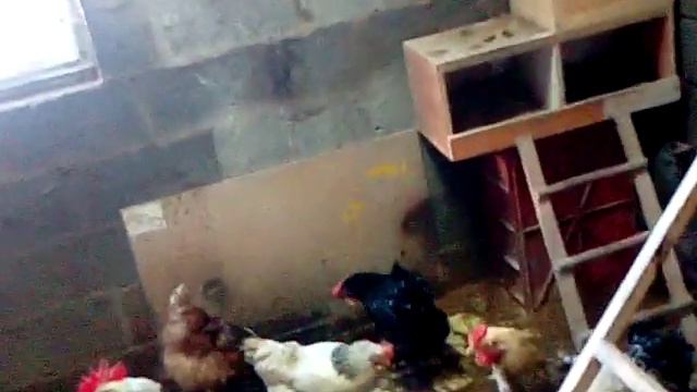 Изменения в хозяйстве, что произошло за долгое время!? смотреть онлайн