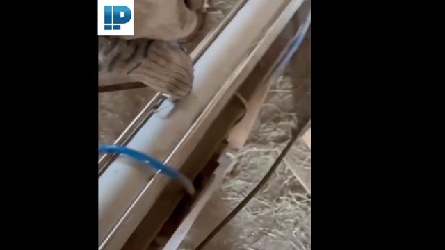 Установка для сена и опилок смотреть онлайн