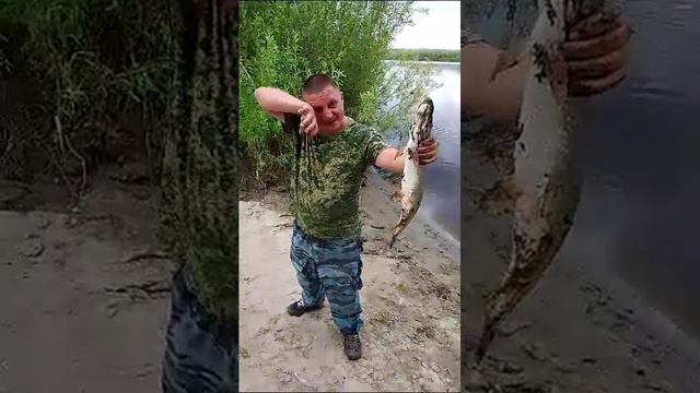 первая щука река лена смотреть онлайн