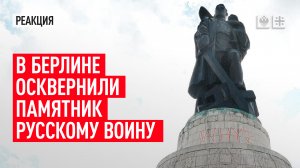 «Я с ребёнком, прикройте меня огнём!»: В Берлине осквернён памятник русскому воину