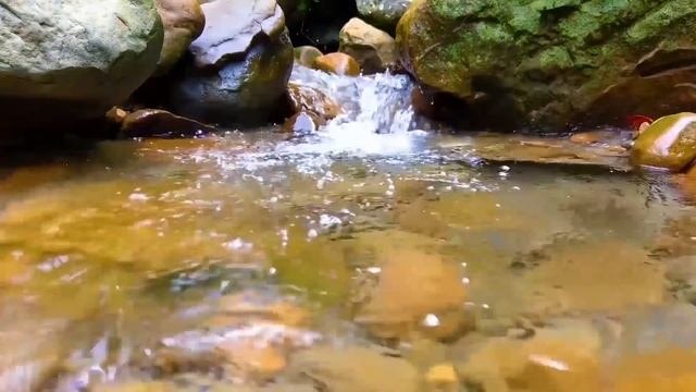3 часа - Успокаивающий звук ручья. Лесной ручей, Звуки природы. Шум воды. Горный ручей. Релакс смотреть онлайн