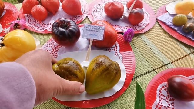 Выставка томатов 2021. Кегумс. смотреть онлайн