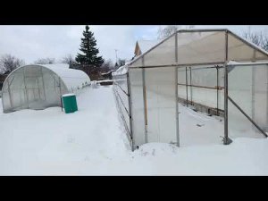 О защитной конструкции для винограда.