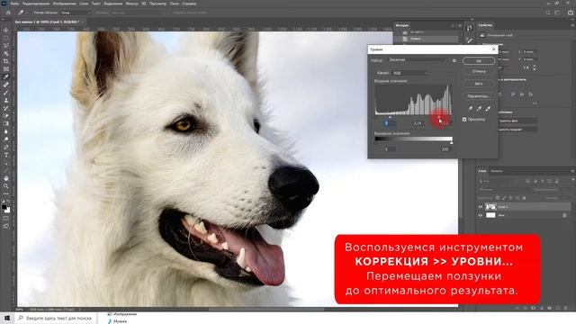 Как сделать белое белым в Фотошопе смотреть онлайн