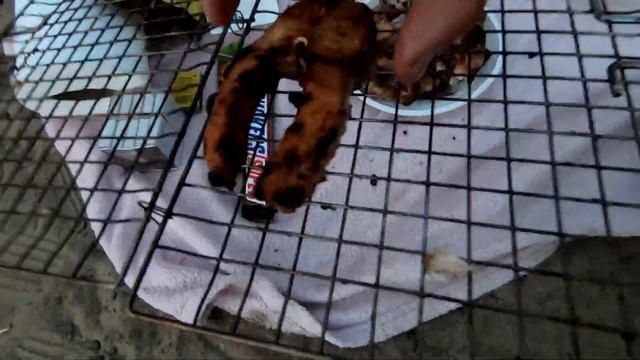 Секреты Фотографии