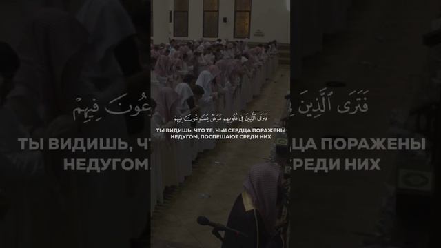 сура «Аль-Маида» [Трапеза]аяты 51-52 #islam #quran смотреть онлайн