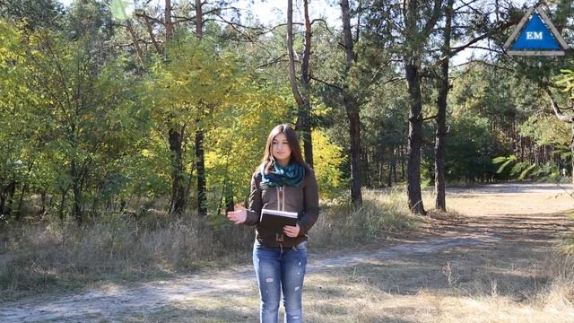 как поцеловать парня в 14 лет смотреть онлайн