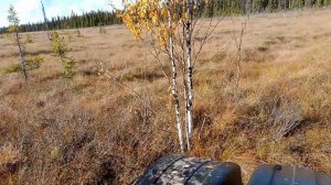 Каракат ЗИС-5, проходимость по топкому ручью.