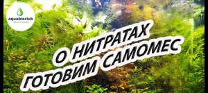 Нитраты в аквариуме. Готовим самомес.