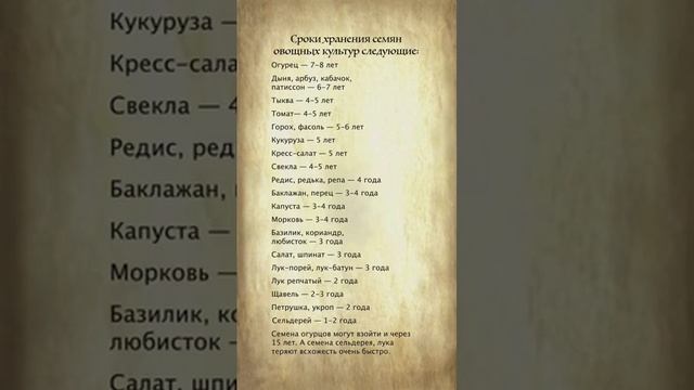 Сколько хранятся семена овощей. смотреть онлайн