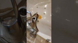 Ремонт смесителя Grohe 33539000, замена дивертора (делителя) 08915000