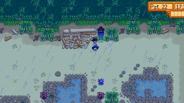 Stardew Valley Nasıl Evlenilir