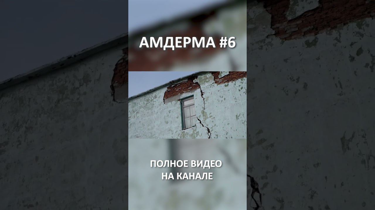 АМДЕРМА AMDERMA 6 SHORT #SHORTS смотреть онлайн