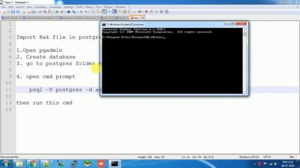 Postgresql import bak file into database in windows
