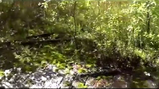 Санкт-Петербург.Кронштадт. Еньков. Глобальная волна.Гусев.В Петровском Доке - элемент магнетрона! смотреть онлайн