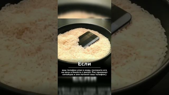 ЧТО ДЕЛАТЬ ЕСЛИ ТЕЛЕФОН УПАЛ В ВОДУ!#tiktok #top #топ #memes #рекомендации #заденьгида #смешно #мем смотреть онлайн