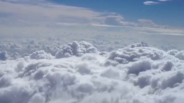 Grass Cutting Challenge | G.O.A.T. Grass Cutter Review - INGCO Grass Timmer #grasscutter смотреть онлайн