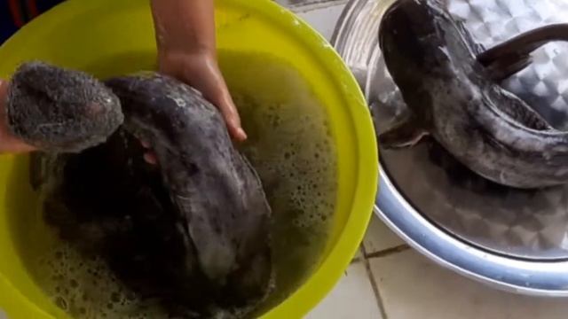 Как быстро убрать слизь с СОМА? ??? смотреть онлайн