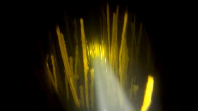 Подводная охота 2017, Волгоград, Spearfishing.