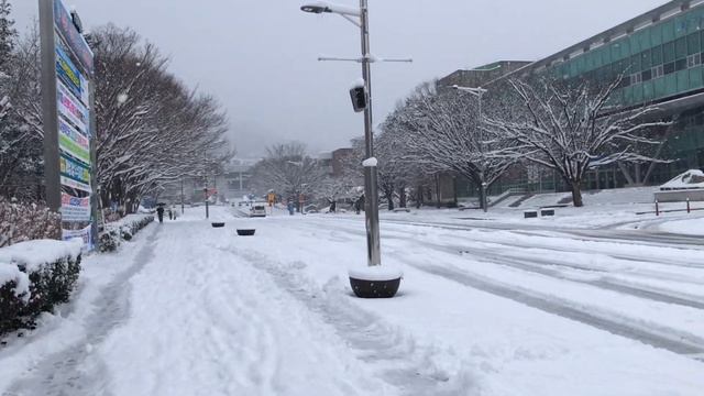 Heavy Snowing day 🌨❄️ ⛄️ at Sunchon National University смотреть онлайн