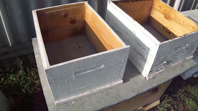 Улей Кука. Сравнение с десятирамочным рутом.