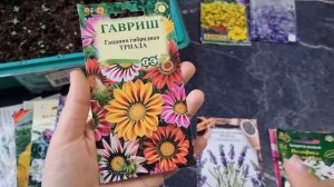 Какие ЦВЕТЫ нужно сеять на рассаду в Феврале