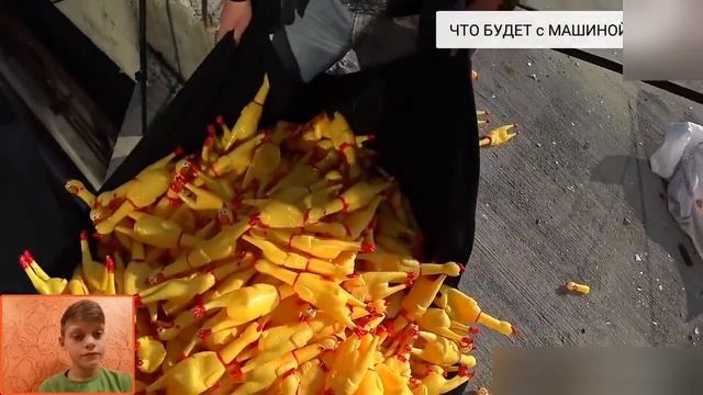 Тимон чавес 1000 кричаших куриц смотреть онлайн