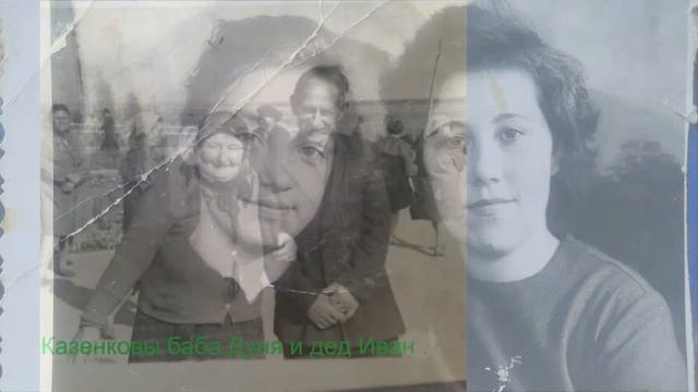 Семейное древо смотреть онлайн