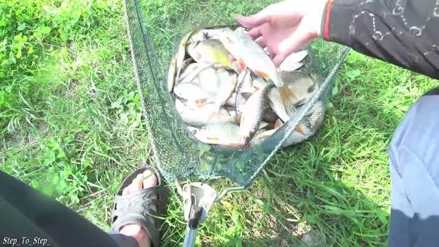 ПЛОТВА клевала как из пулемета. РЫБАЛКА в Воронежской области. Часть 1. 26 июн. 2020 г. смотреть онлайн