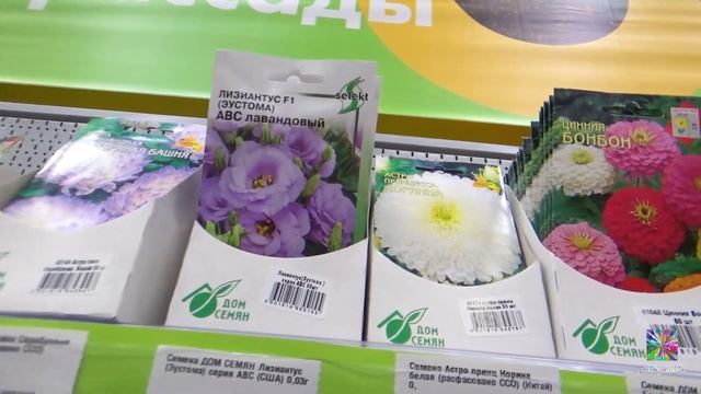 ?В ЛЕНТЕ НАБРАЛА СЕМЕНА?АКЦИИ, НОВИНКИ, РАСПРОДАЖА! ОБЗОР! Цены на январь 2022 смотреть онлайн