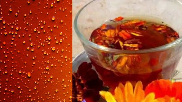 Чорнобривці. В чому їх користь? смотреть онлайн