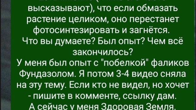 #ОРХИДЕЯ, покрашенная с головой лечебным препаратом. Вопрос имею... смотреть онлайн