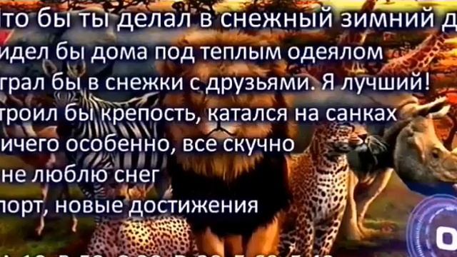 Тест кто ты из животных смотреть онлайн