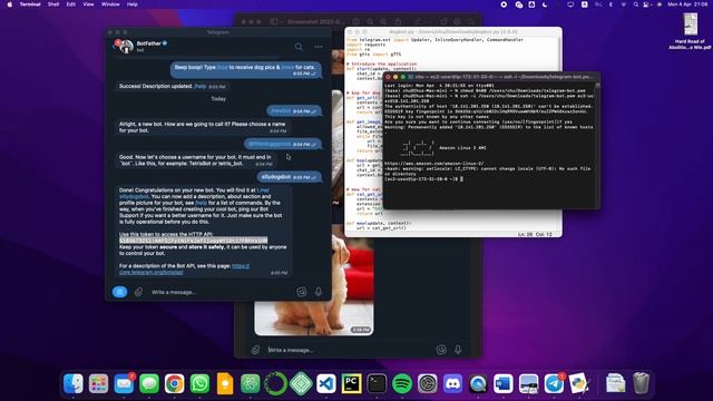 Built my FIRST EVER Telegram doggo bot on AWS EC2 & Python! смотреть онлайн