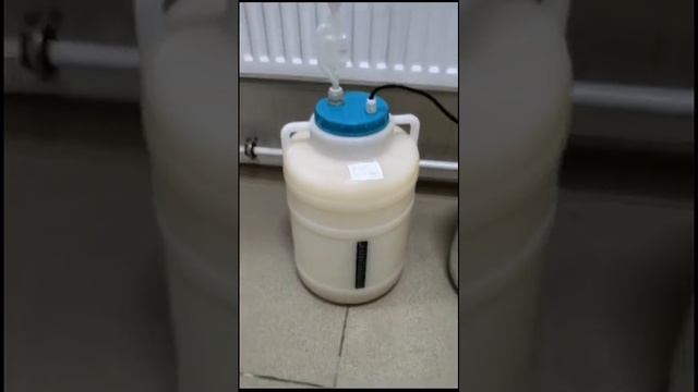 Отзыв покупателя HISPIRIT Automat.