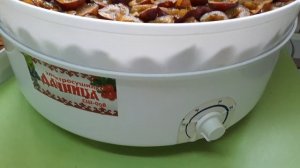 100% натуральныйЧЕРНОСЛИВ  своими руками.Сушим сливу.Заготовки на зиму.Pitted prunes at home.СТИХиЯ