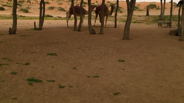 Дубай, Абу-Даби 2020 смотреть онлайн