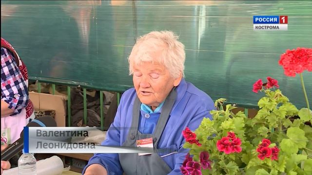 "Сводки с рынка": ягоды, грибы, овощи - что и как растёт на костромской земле? смотреть онлайн