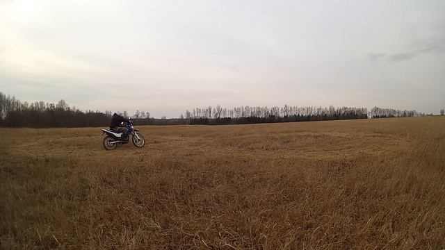 TTR 250R Irbis смотреть онлайн